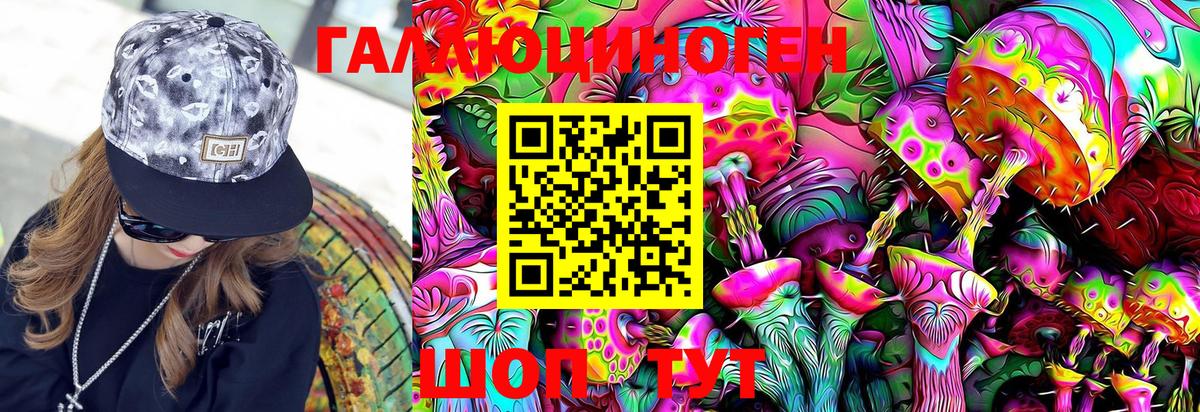 Псилоцибиновые грибы мицелий Биробиджан
