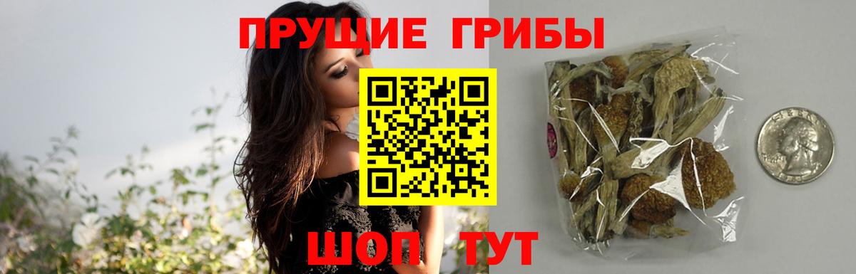 Псилоцибиновые грибы мухоморы  где можно купить наркотик  Псилоцибиновые грибы Cubensis  Биробиджан  Вход с VPN 